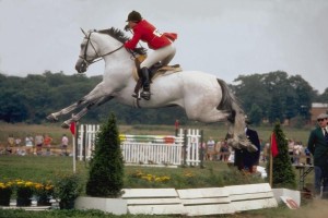 HORSE Jumping027