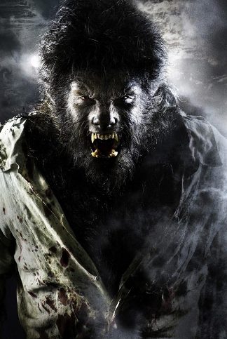The Wolfman 2009